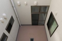 56-中庭