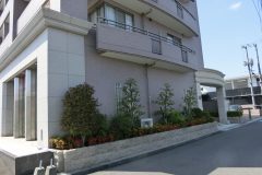 CIMG30634